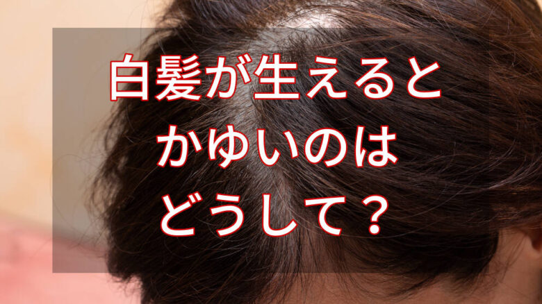 白髪が生えるとかゆいのはなぜ 3つの原因と今すぐできる対処法 最新の理由を現役美容師が解説 美テラシー