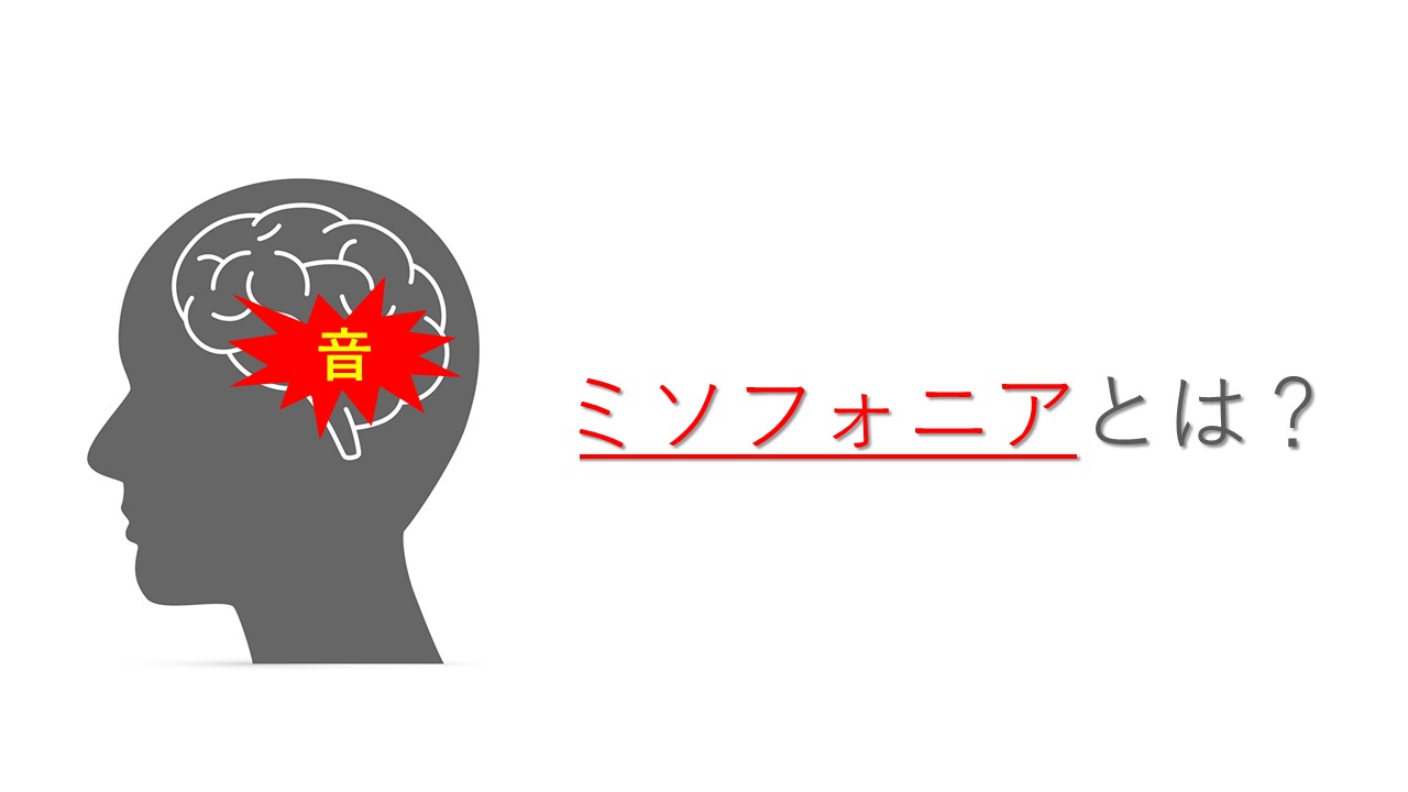 ミソフォニアの正確な情報